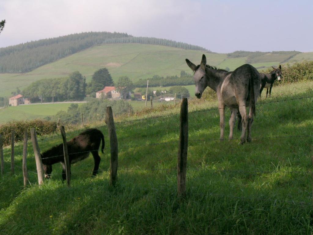 Agroturismo Kasa Barri Бермео Екстериор снимка